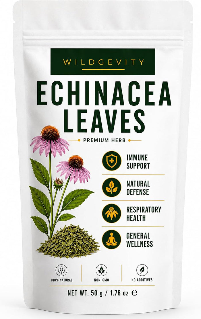 Echinacea