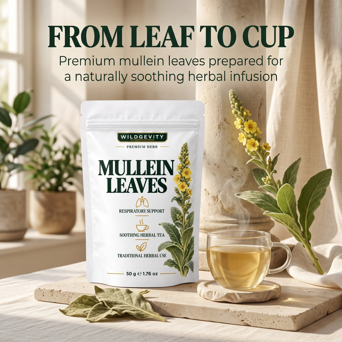 Mullein Leaves from leaf to cup