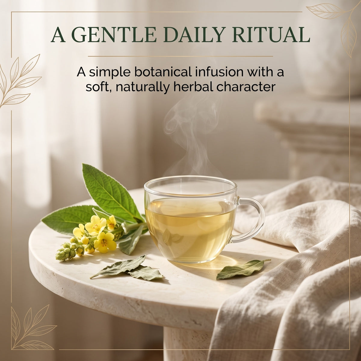 Mullein gentle daily ritual