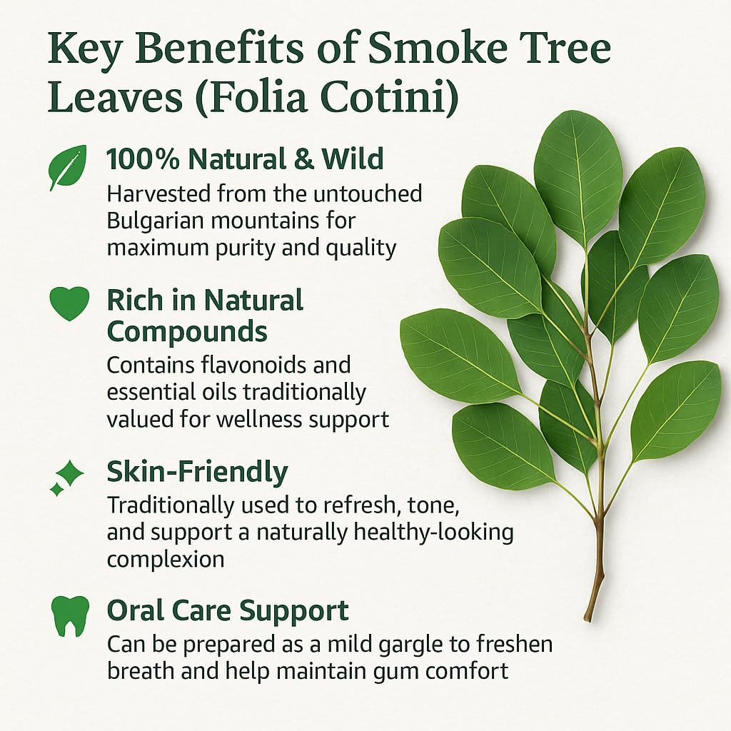 Smoke Tree (Folia Cotini) 50g
