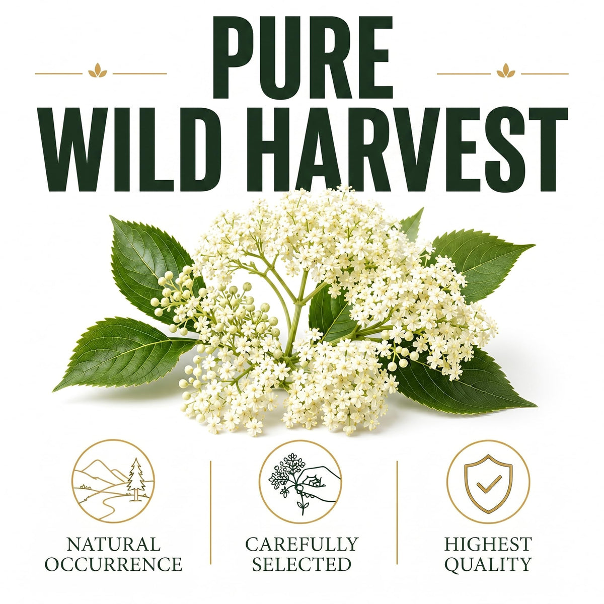 Elderflower 50g