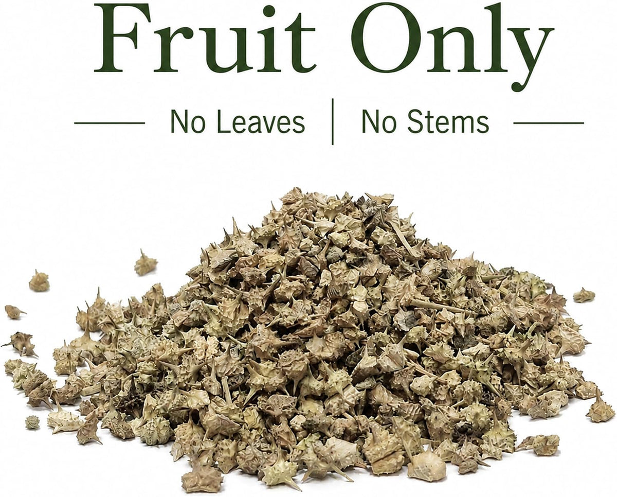 Tribulus Terrestris Herb 100 g | Premium Quality | 100% Pure | Carefully selected and gently processed, packed in a resealable pouch for freshness.