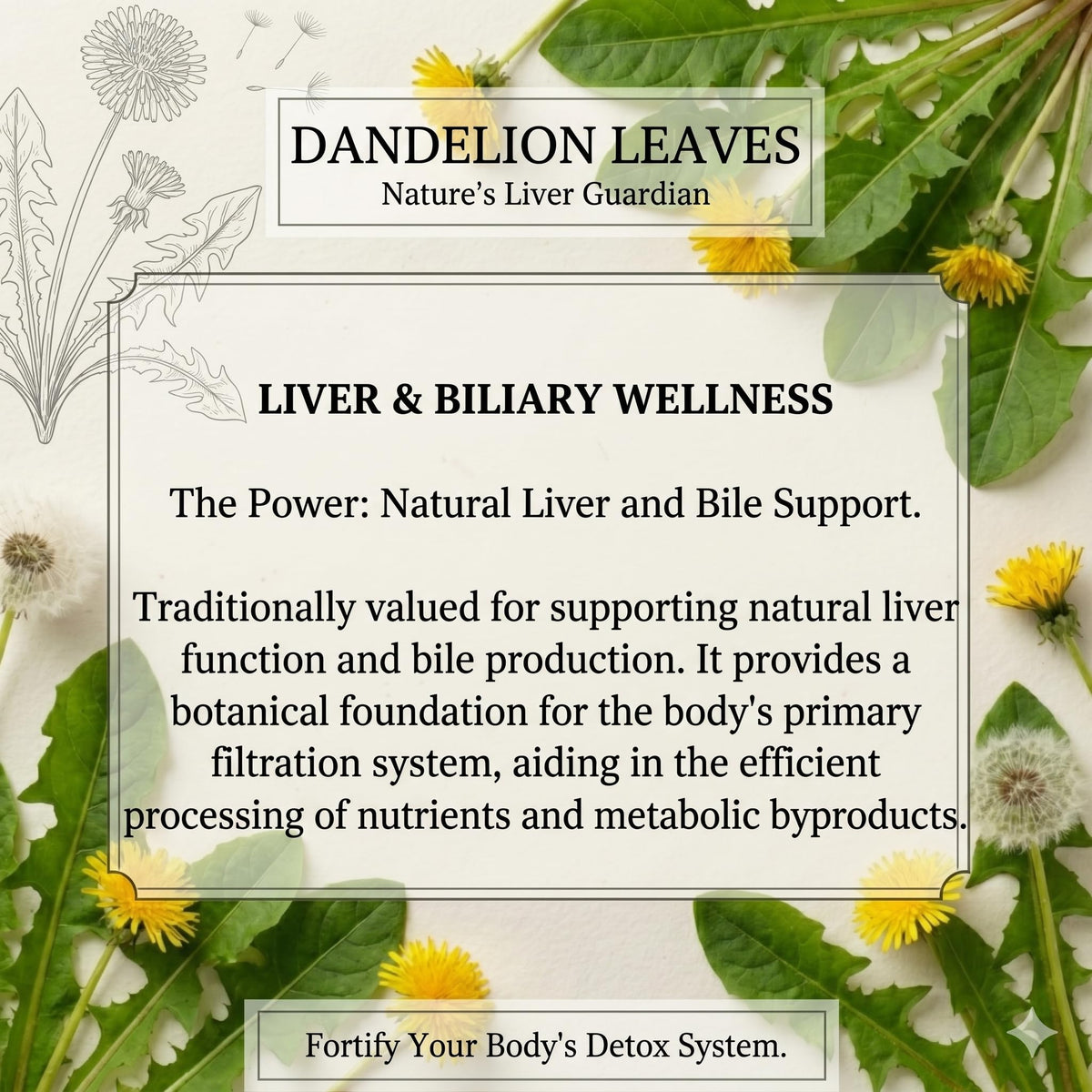 Dandelion Leaf 50g