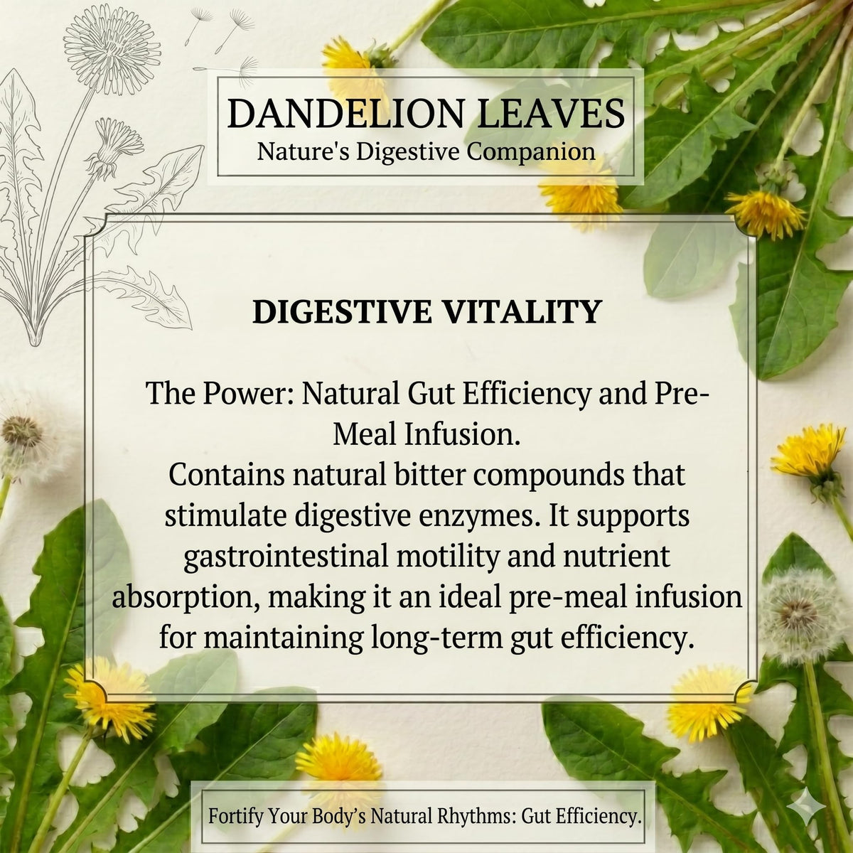 Dandelion Leaf 50g