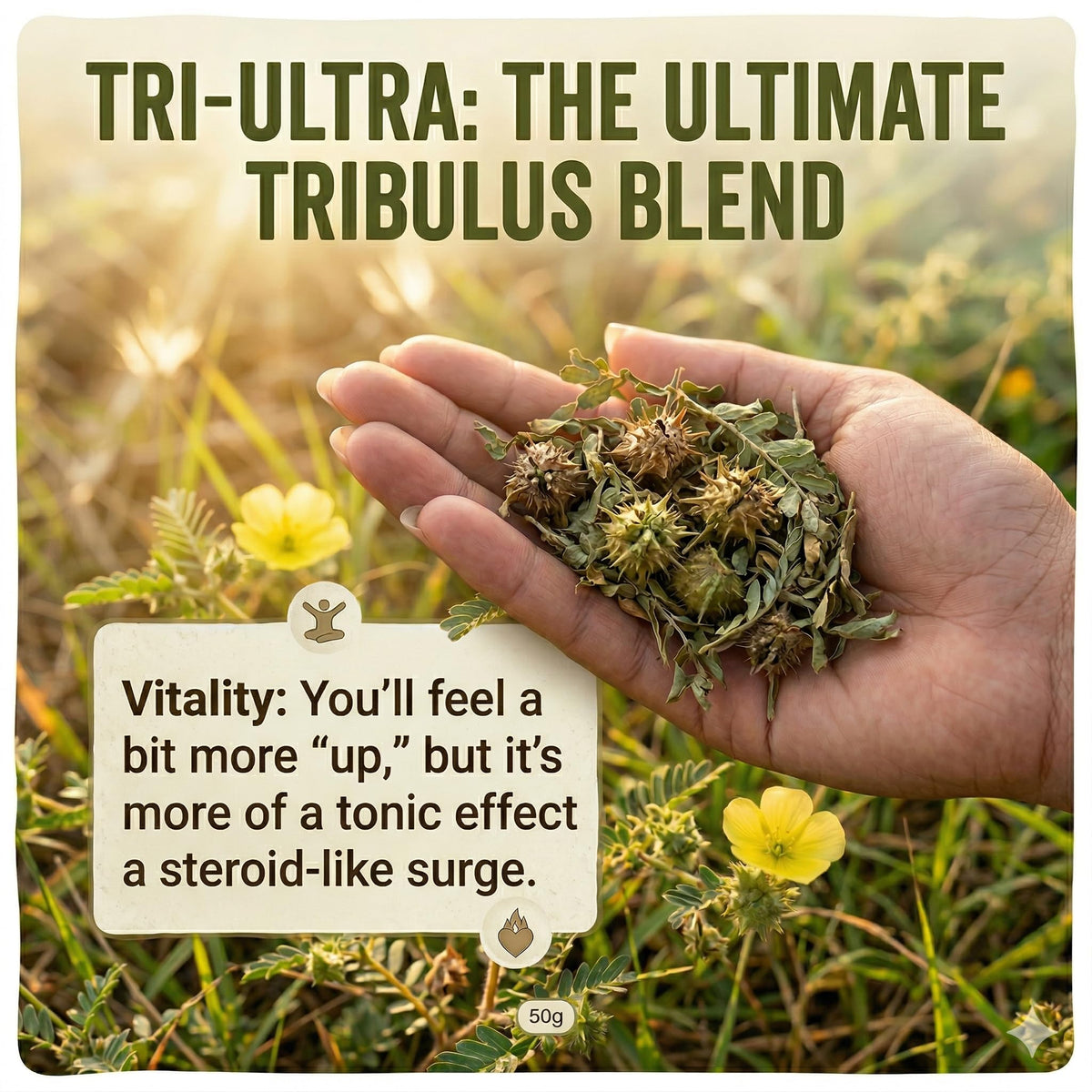 Tribulus Terrestris 50g