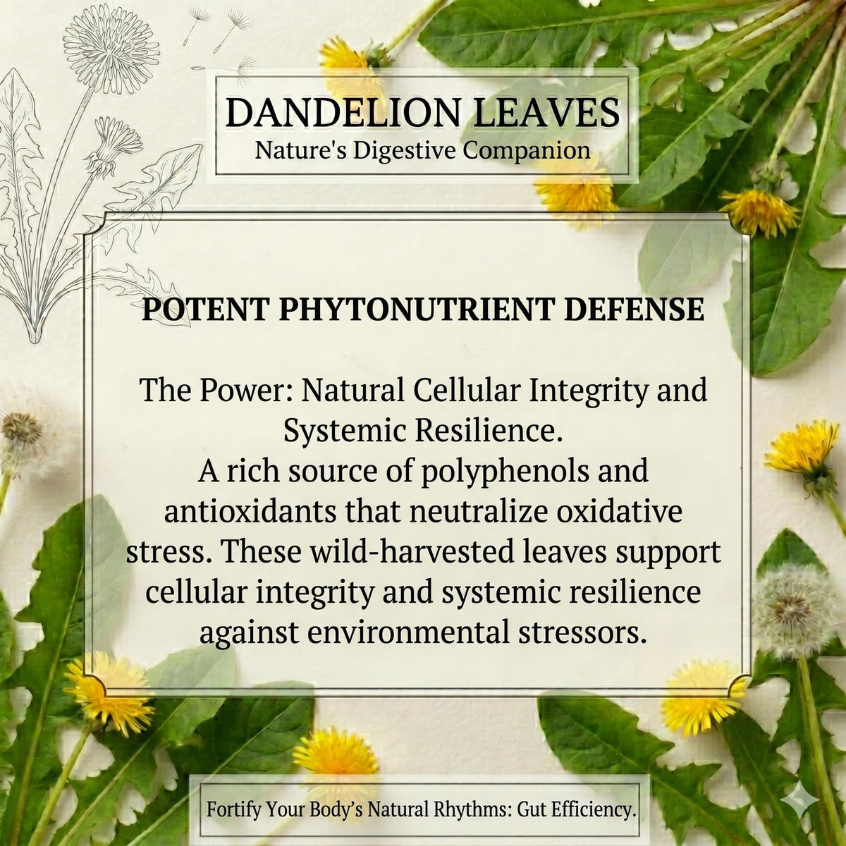 Dandelion Leaf 50g