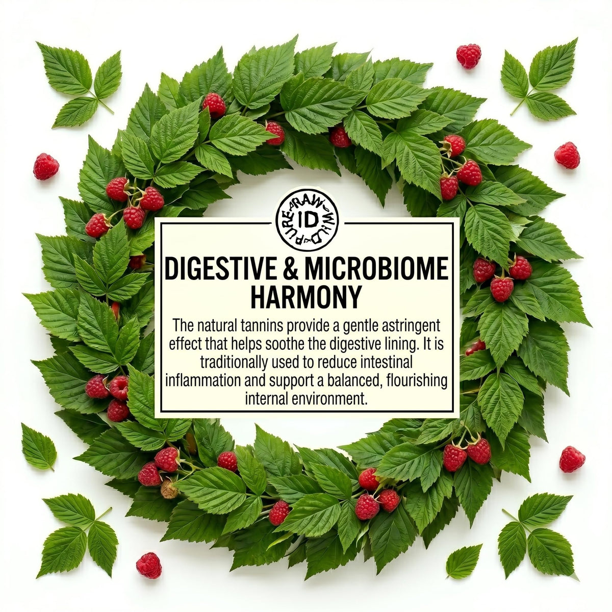 Raspberry Leaf 50g