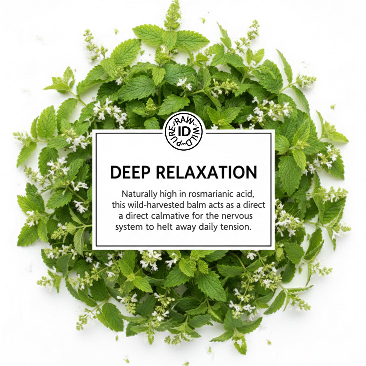 Lemon Balm 50g