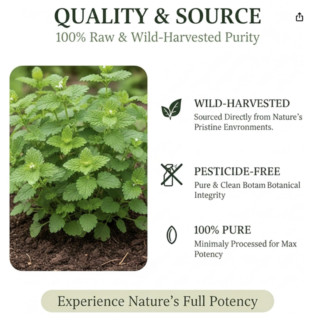 Lemon Balm 50g