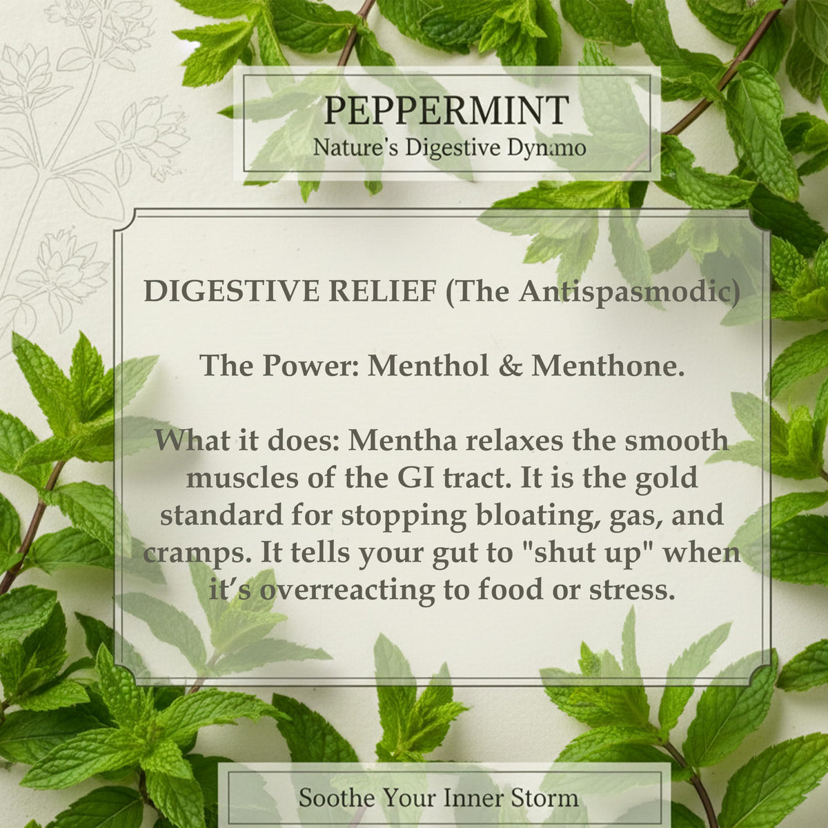 Peppermint Tea 20 Bags