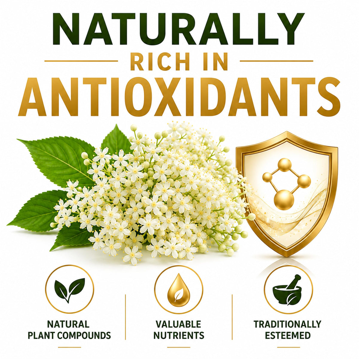 Elderflower 50g