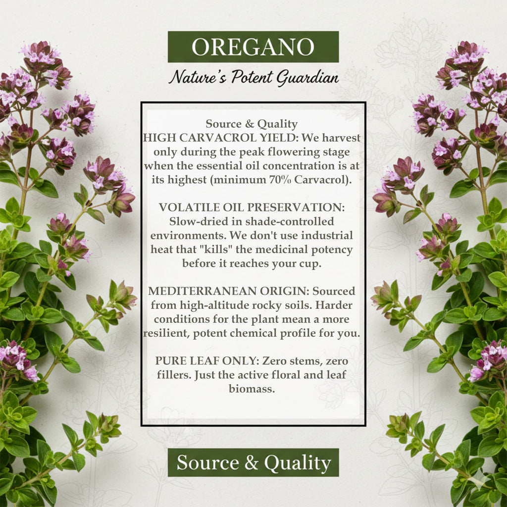 Oregano Tea 20 Bags
