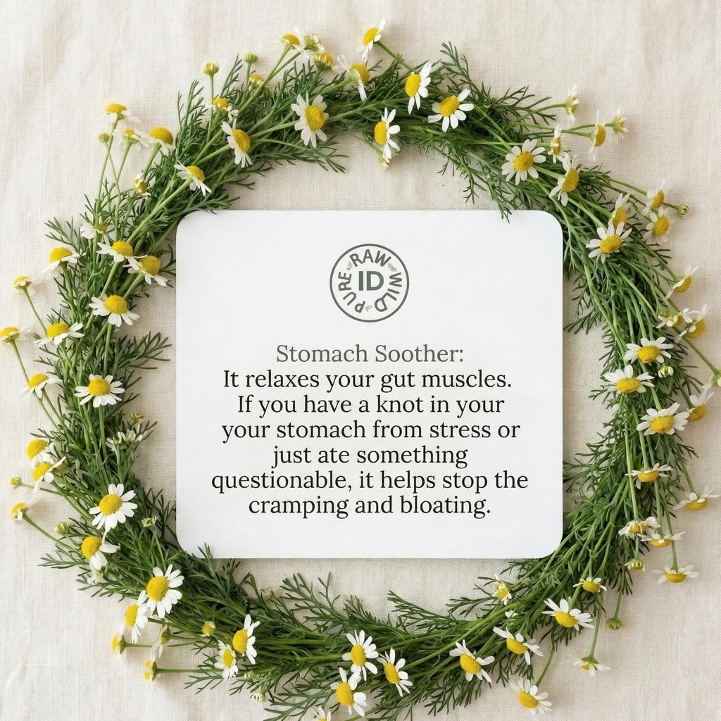 Chamomile Tea 20 Bags