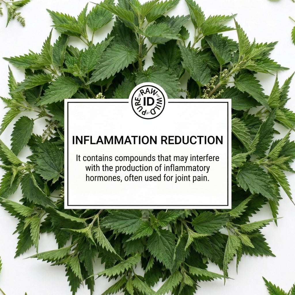 Nettle Leaf 50g