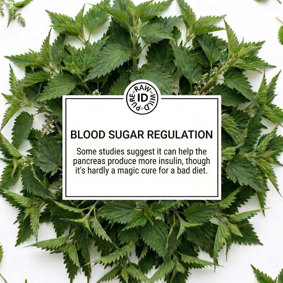 Nettle Leaf 50g