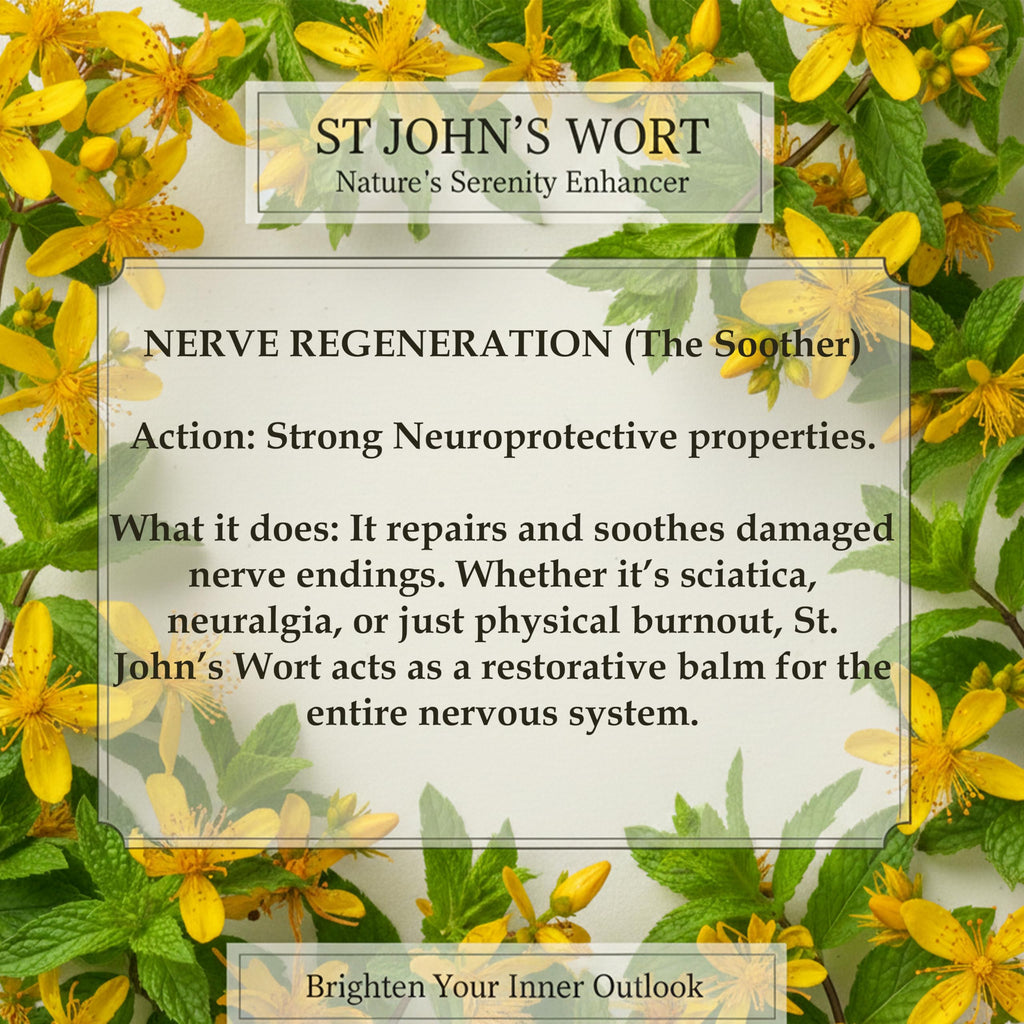 St John’s Wort Tea 20 Bags