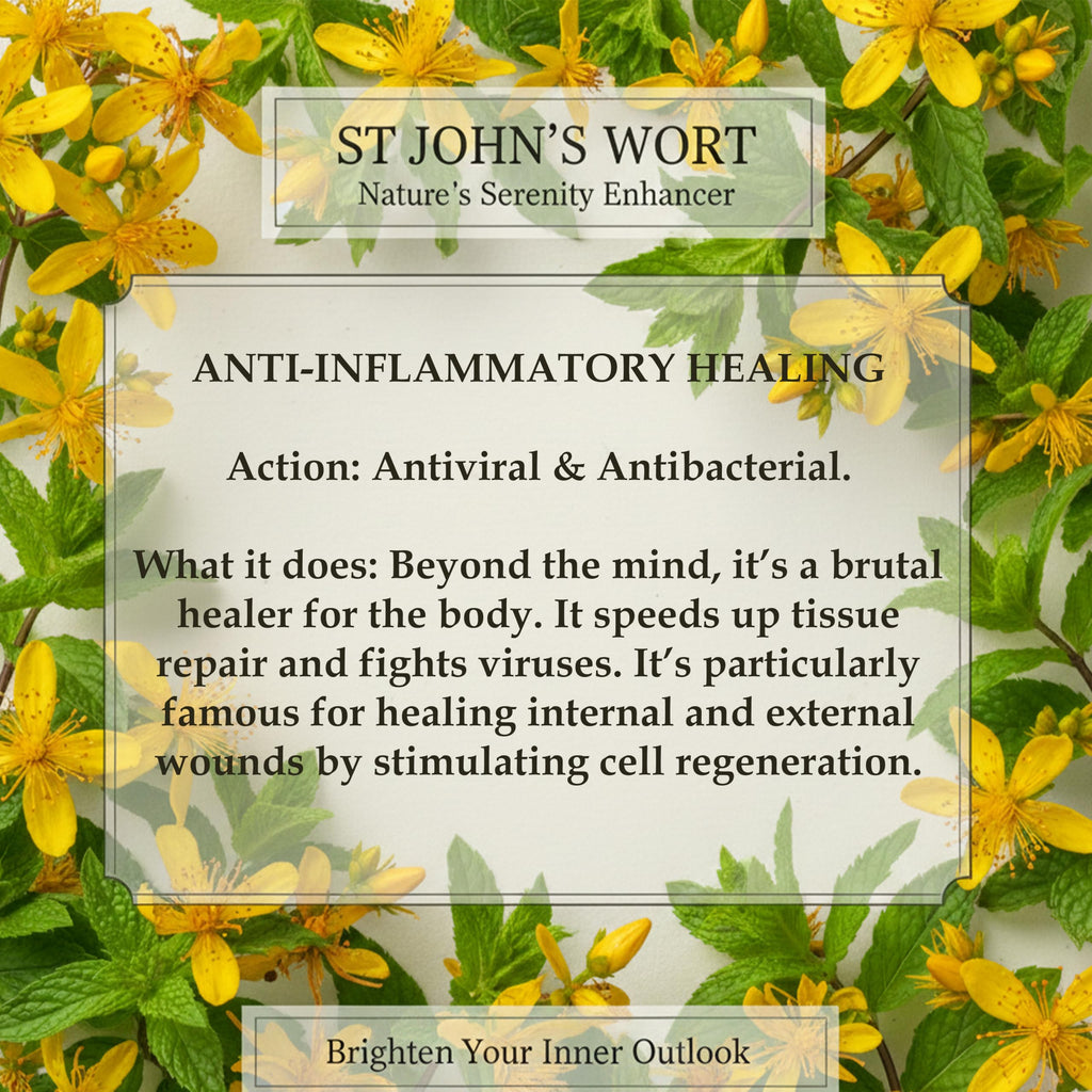St John’s Wort Tea 20 Bags