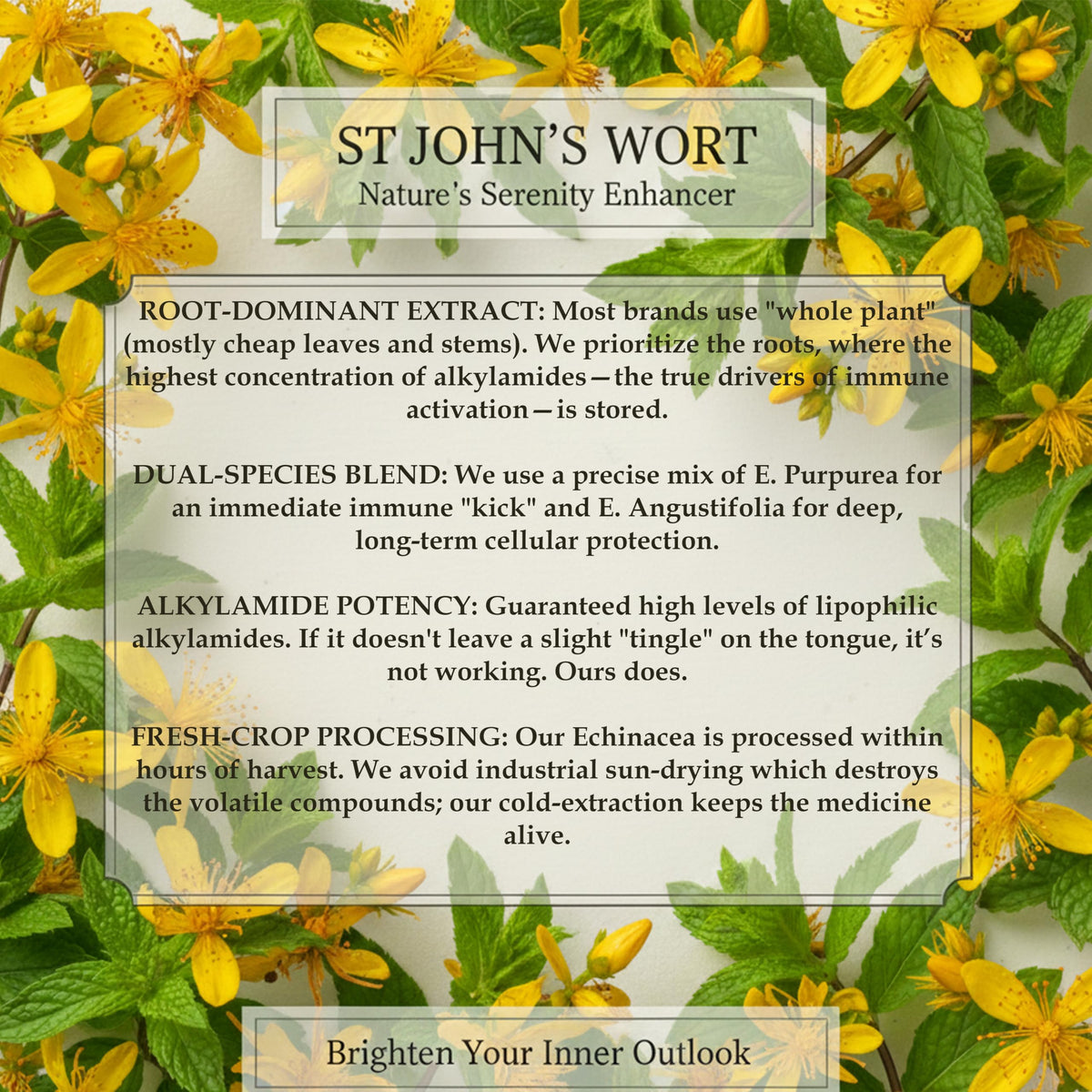 St John’s Wort Tea 20 Bags