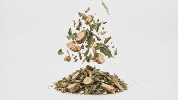 WILDGEVITY herbs ingredients in motion