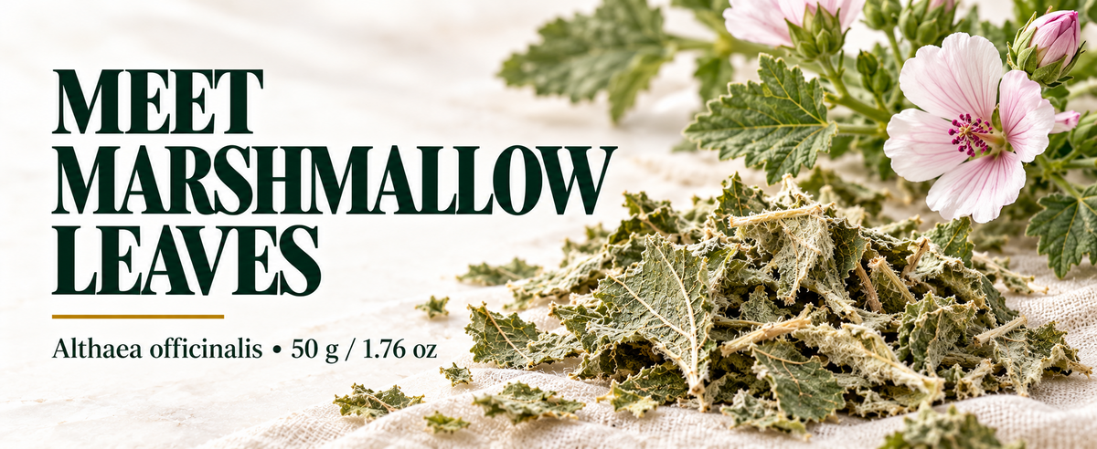 WILDGEVITY Marshmallow Leaves — A+ module 01