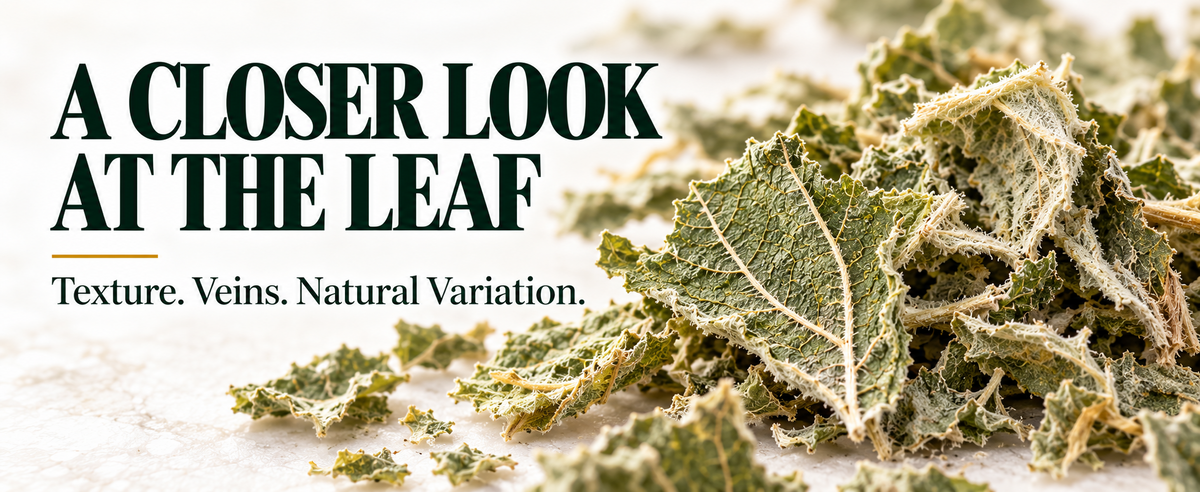 WILDGEVITY Marshmallow Leaves — A+ module 03