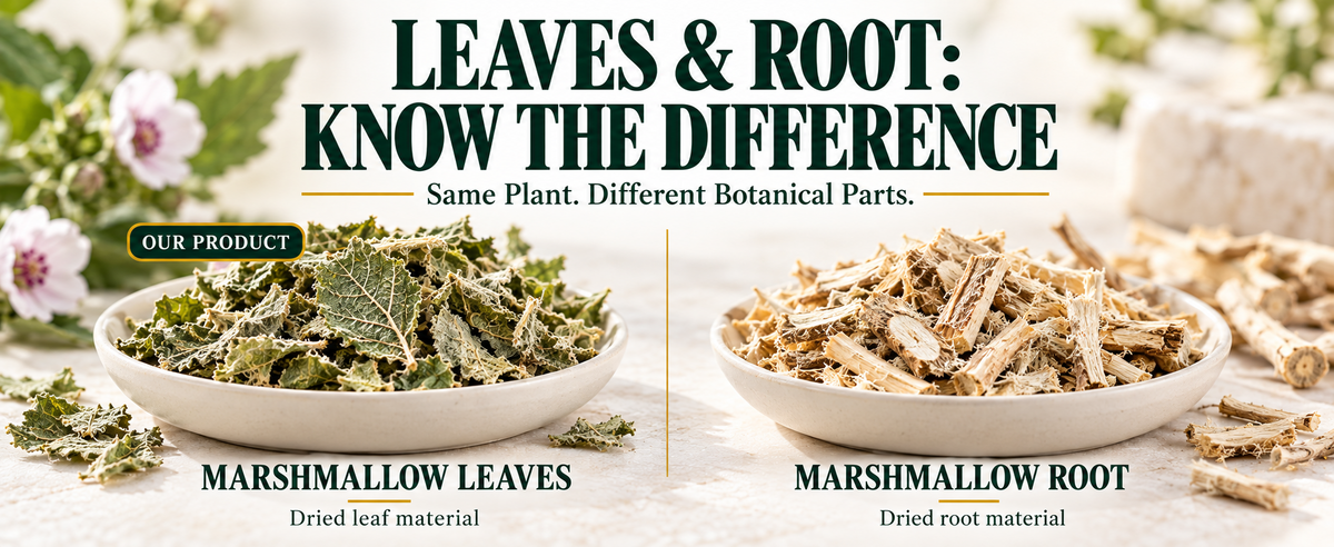 WILDGEVITY Marshmallow Leaves — A+ module 04