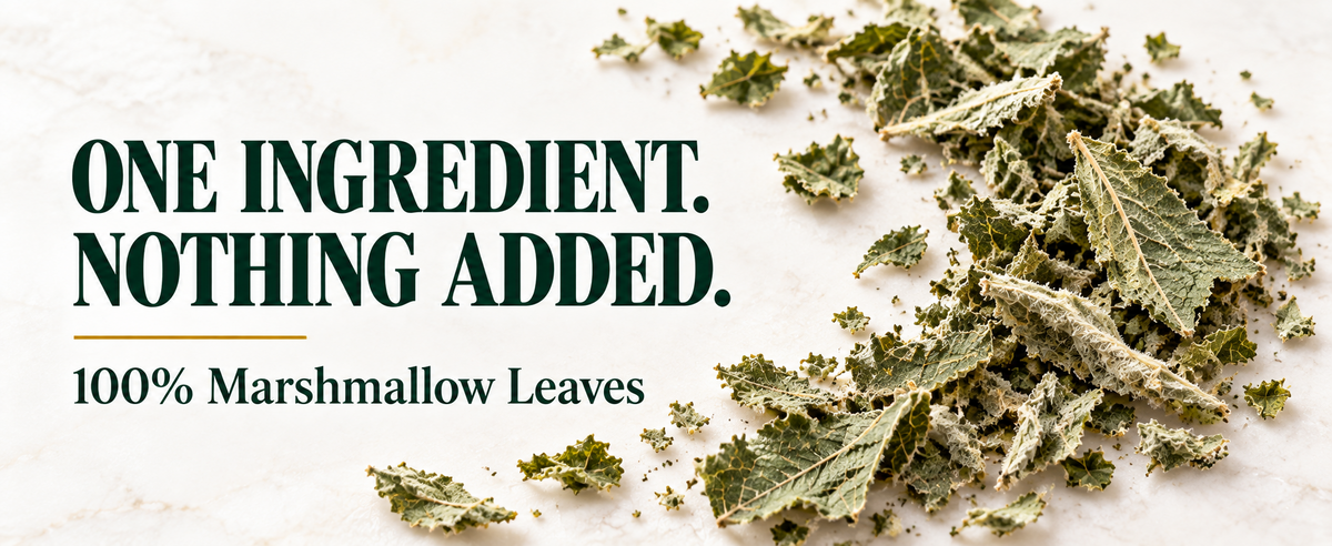 WILDGEVITY Marshmallow Leaves — A+ module 05