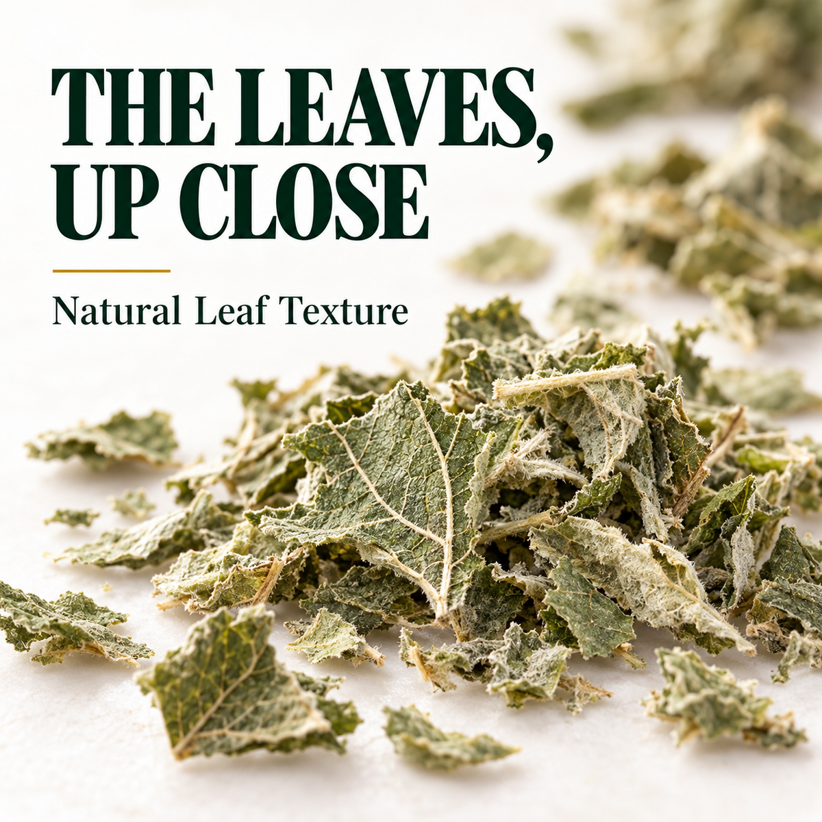 WILDGEVITY Marshmallow Leaves 50 g — product gallery image 5
