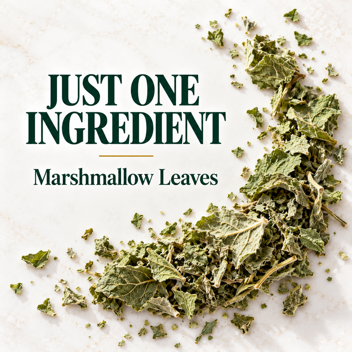 WILDGEVITY Marshmallow Leaves 50 g — product gallery image 6