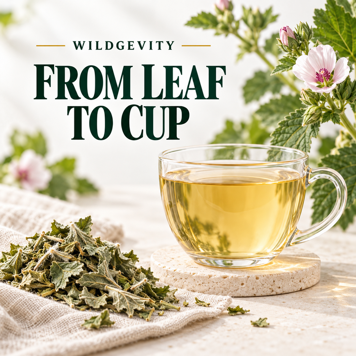 WILDGEVITY Marshmallow Leaves 50 g — product gallery image 11